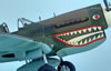 Revell 1/32 P-40E by Tadeu Pinto Mendes: Image