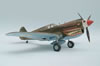 Revell 1/32 P-40E by Tadeu Pinto Mendes: Image