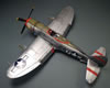 Tamiya 1/48 Republic P-47D Thunderbolt by Karen Coughlin: Image