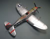 Tamiya 1/48 Republic P-47D Thunderbolt by Karen Coughlin: Image