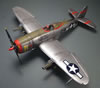 Tamiya 1/48 Republic P-47D Thunderbolt by Karen Coughlin: Image