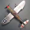 Tamiya 1/48 Republic P-47D Thunderbolt by Karen Coughlin: Image