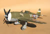 Trumpeter 1/32 P-47D-1 Thunderbolt by Tolga Ulgur: Image