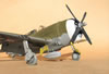 Trumpeter 1/32 P-47D-1 Thunderbolt by Tolga Ulgur: Image