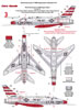 This is a nice set of large decals from Euro Decals covering 4 great NMF schemes for the F-100D airc: Image