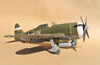 Trumpeter 1/32 P-47D-5 by Tolga Ulgur: Image