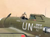 Trumpeter 1/32 P-47D-5 by Tolga Ulgur: Image