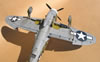 Trumpeter 1/32 P-47D-5 by Tolga Ulgur: Image