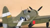 Trumpeter 1/32 P-47D-5 by Tolga Ulgur: Image