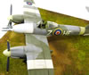 Trumpeter 1/48 Westland Whirlwind FB. Mk.I by Mark Danko: Image