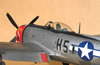 Hasegawa 1/32 P-47D by Tolga Ulgur: Image