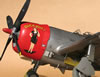 Hasegawa 1/32 P-47D by Tolga Ulgur: Image