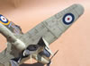 Boulton Paul Defiant Mk.I  by Tolga Ulgur: Image