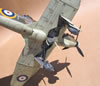 Boulton Paul Defiant Mk.I  by Tolga Ulgur: Image