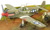 Tamiya 1/48 P-51B-5 Mustang by Mark Danko: Image
