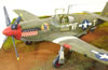 Tamiya 1/48 P-51B-5 Mustang by Mark Danko: Image