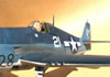Hasegawa 1/32 F6F-3 Late Version Tolga Ulgur: Image