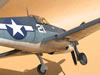 Hasegawa 1/32 F6F-3 Late Version Tolga Ulgur: Image