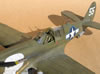 Eduard 1/32 P-40N by Tolga Ulgur: Image