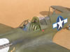 Eduard 1/32 P-40N by Tolga Ulgur: Image