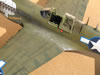 Eduard 1/32 P-40N by Tolga Ulgur: Image