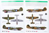 Eduard 1/48 P-40E Review by Brett Green: Image