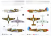 Eduard 1/48 P-40N Review by Brett Green: Image