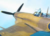 Airfix 1/24 Typhoon Mk.I Car Door by Tolgar Ulgur: Image