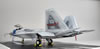 Hasegawa 1/48 F-22 Raptor by Daryl Dancik: Image