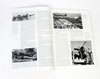 Valiant Wings Publishing Book Review: Image