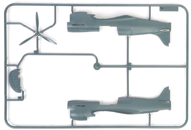 Eduard 1/48 P-40K Review by Brett Green
