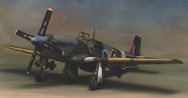 p51bbg_1.jpg (29139 bytes)