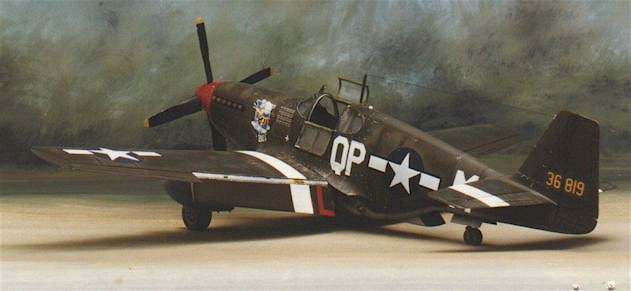 p51bcw_1.jpg (25565 bytes)