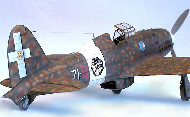 Macchi C.202 by Werner Scheibling (Hasegawa 1/48)