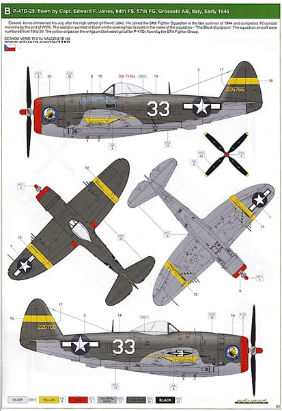 PHOTO-ETCH & RESIN P47D BUBBLETOP LOOK FOR TAM EDUARD 1/48 AIRCRAFT 644023 