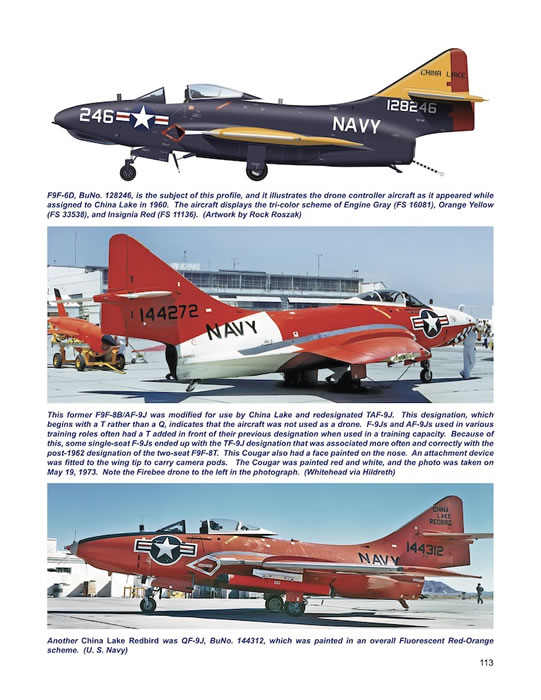 Detail & Scale F9F Cougar in US Navy & Marine Corps Service Review by Don  Linn