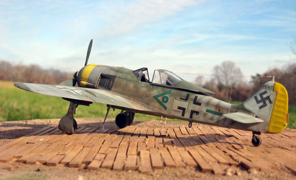 Focke-Wulf 190 F-8 by Floyd Werner (Eduard 1/48)